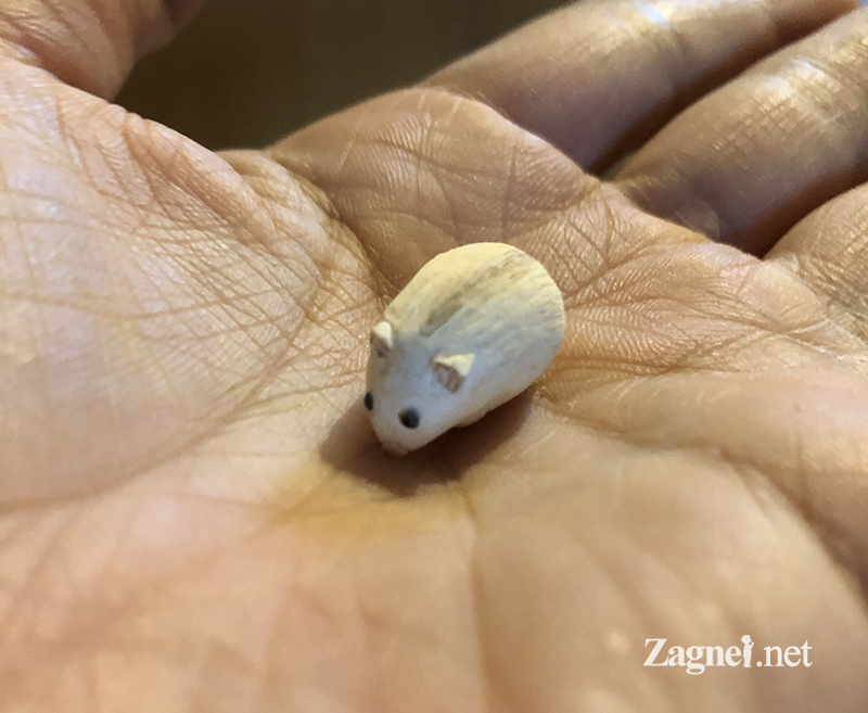 Miniature hamster and her cage